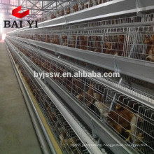 Egg Farms/Chicken Egg Poultry Farm/Chicken Cage For Sale